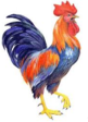 02005hdj-90c7-81x112.png