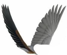 02005hul-2b59.png