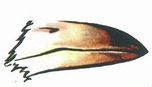 02005huq-d746.png