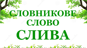 Дидактичний матеріал "Словник "Сад. Слива»