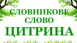 Дидактичний матеріал "Словник "Сад. Цитрина»