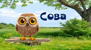 Презентація "Читаємо у 1 класі" "Сова".Матеріал на допомогу вчителю НУШ