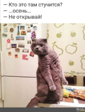 02005kmz-0974-168x220.png