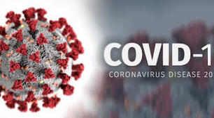 COVID - 19. Навчання в умовах карантину