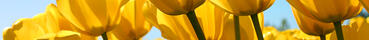 02005m9v-7684-246x246.jpg