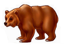 02005mby-1608-208x152.png
