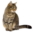 02005mcw-3837-135x134.png