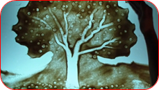 02005n0m-5e7c-229x130.png