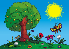 02005n2n-62aa-270x193.png