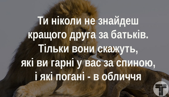 02005ov3-0cdd.jpg