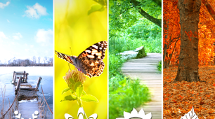 Seasons and weather (3 клас)