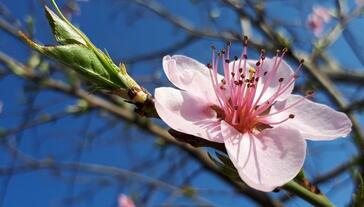 02005pd6-def2-364x207.jpg