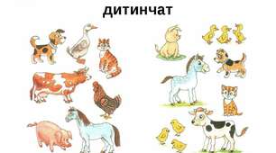 (Копія) Чиї дітки?