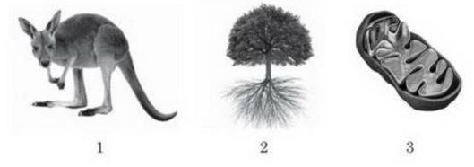 02005q2y-330b-597x211.png