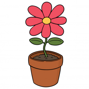 02005quy-5915-300x300.png