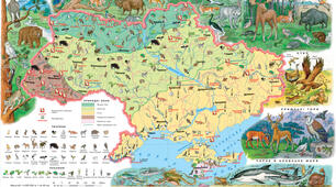 Рівнинні природні зони України