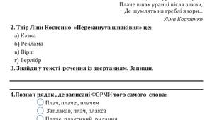 Тест Діагностична робота з мовно-літературної галузі  (підсумкова за 2 клас НУШ)