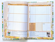 02005sg6-0294-231x175.png