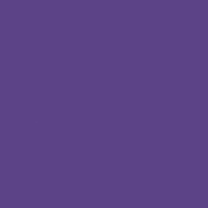 02005thl-dd6d-300x300.png