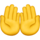 02005w0q-68f0-80x80.png
