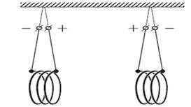 02005x6w-7f4c.jpg