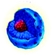 02005zmu-97fa.png