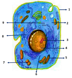 02005zo5-efdf-248x268.png