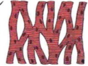 02005zsq-133c-213x160.png