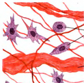 02005zto-560a-218x215.png