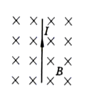 02006034-5782-176x188.png