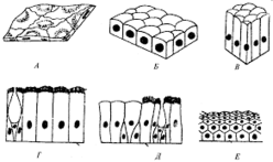 0200603a-b6f7-248x147.png