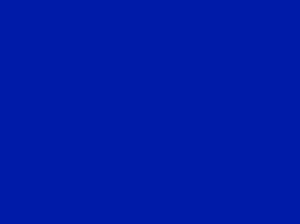 020060e0-4e08-300x224.png