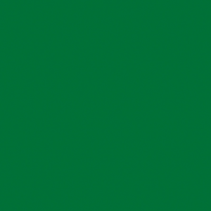 020060e5-f840-300x300.png