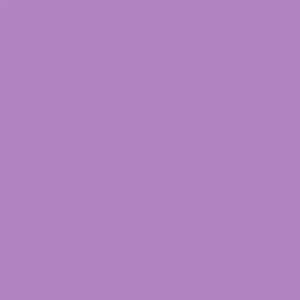 020060e6-abc9-300x300.png
