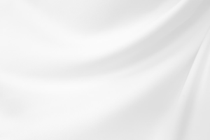 020060ej-4b0a-300x200.png
