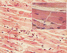 02006137-a9ba.jpg