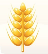 0200631d-972c-154x173.png