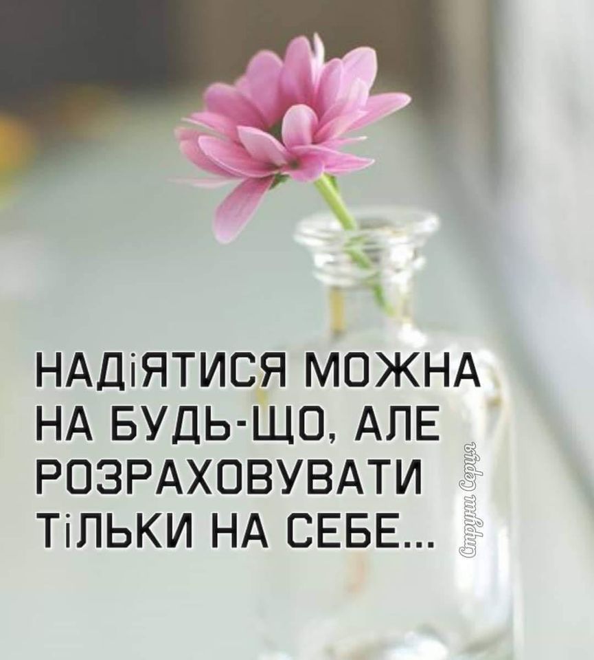 020063ak-c7c6.jpg
