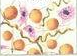020063fo-c632-165x120.png