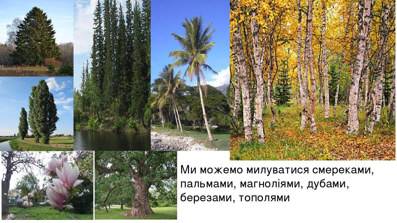 Презентація " Бережем природу" | . Екологія