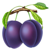 020063vz-7785-171x171.png