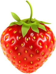 020063wa-2cbc-185x243.png