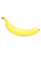 020063wc-fc2d-134x189.png