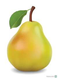 020063wv-d792-200x272.png