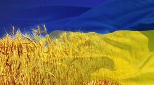 Виховна година. Конспект уроку "Я - українець"