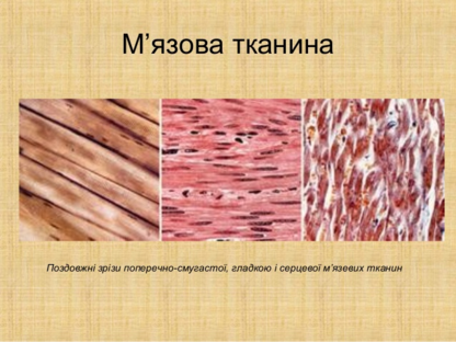020066ad-08e2-416x312.png