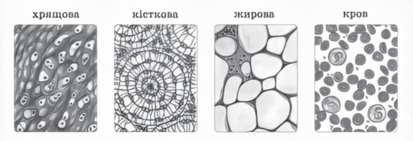 020066ah-ebc0-413x141.png