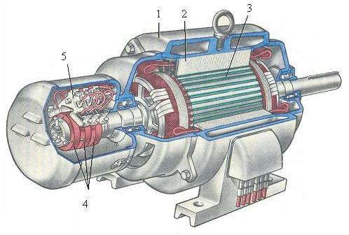 020068mw-b313-498x336.jpg