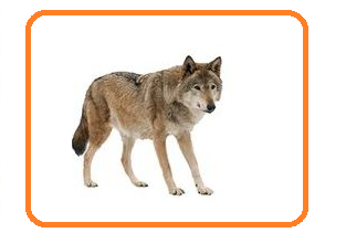 020068rk-3235.png
