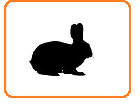 020068uj-97c9-286x213.png